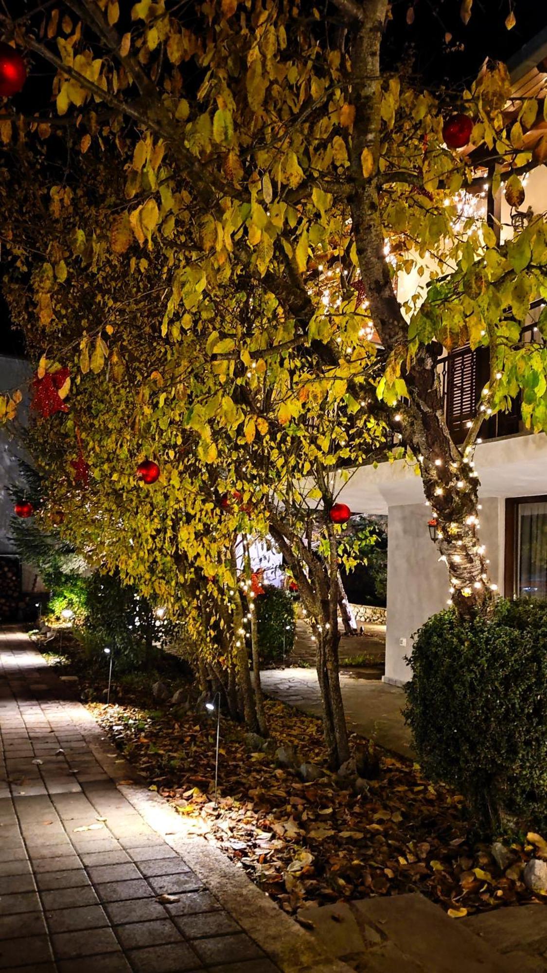 Αλώνι Apartment Nimfasía Exterior photo